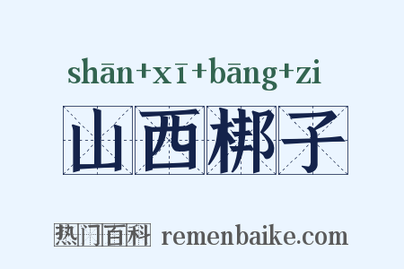 山西梆子是什么意思的图片